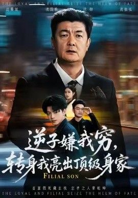 这个杀手不太冷